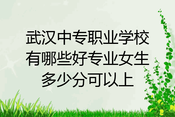 武汉中专职业学校有哪些好专业女生多少分可以上