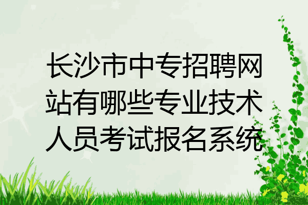 长沙市中专招聘网站有哪些专业技术人员考试报名系统