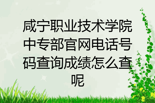 咸宁职业技术学院中专部官网电话号码查询成绩怎么查呢
