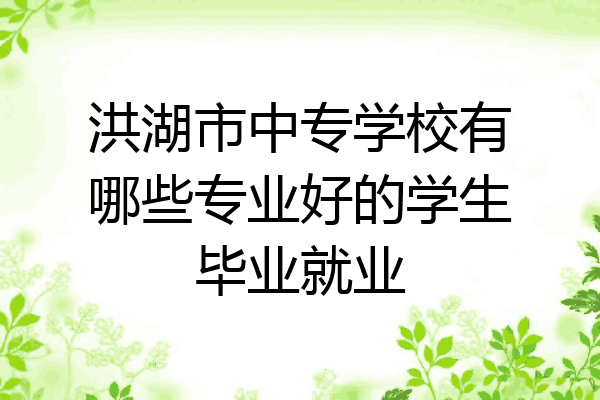 洪湖市中专学校有哪些专业好的学生毕业就业