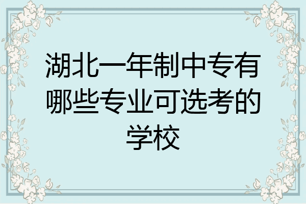湖北一年制中专有哪些专业可选考的学校