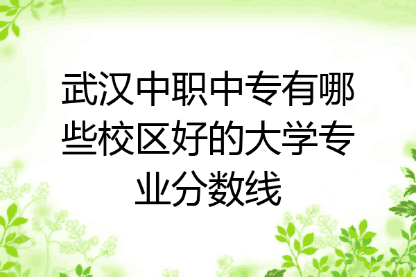 武汉中职中专有哪些校区好的大学专业分数线