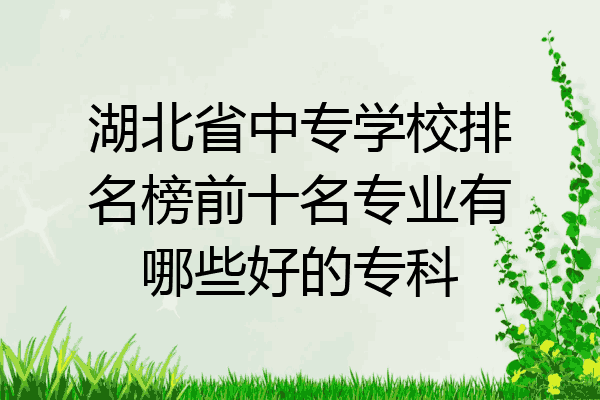 湖北省中专学校排名榜前十名专业有哪些好的专科