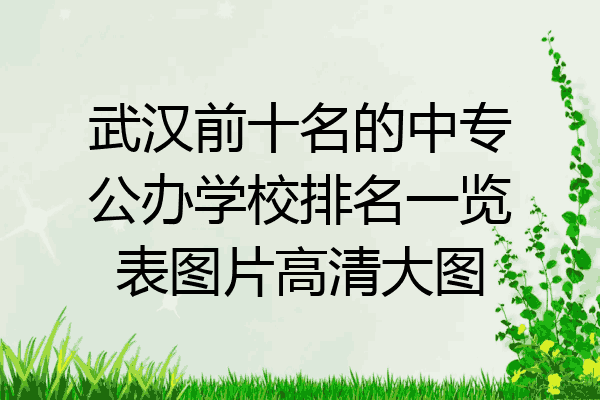 武汉前十名的中专公办学校排名一览表图片高清大图