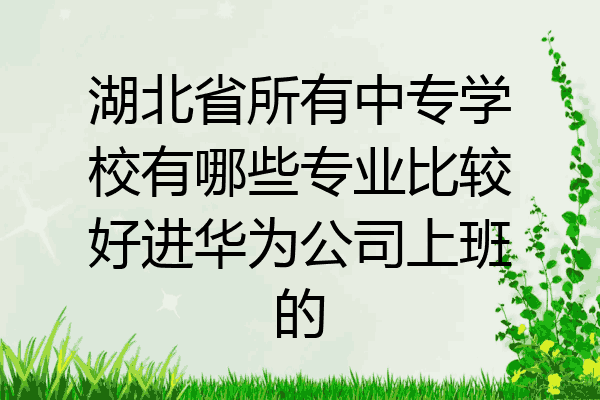 湖北省所有中专学校有哪些专业比较好进华为公司上班的