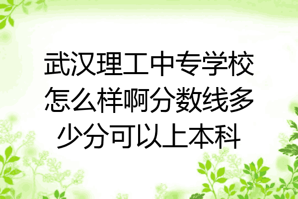 武汉理工中专学校怎么样啊分数线多少分可以上本科