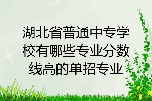 湖北省普通中专学校有哪些专业分数线高的单招专业