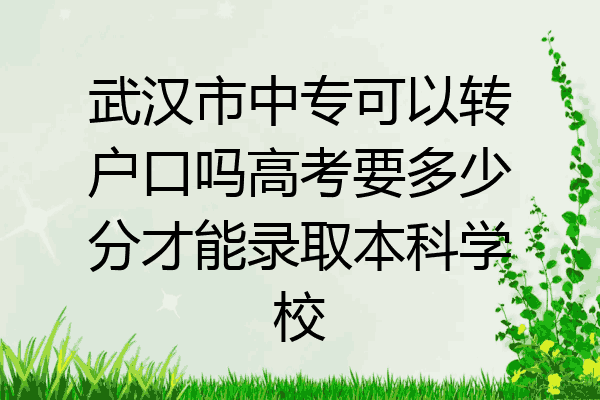 武汉市中专可以转户口吗高考要多少分才能录取本科学校