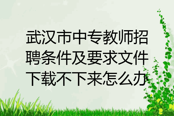 武汉市中专教师招聘条件及要求文件下载不下来怎么办