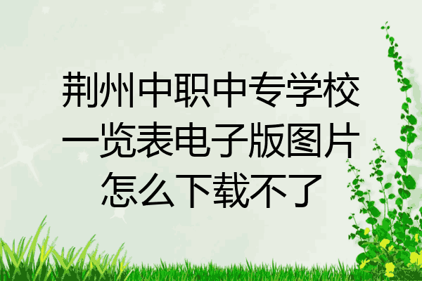 荆州中职中专学校一览表电子版图片怎么下载不了