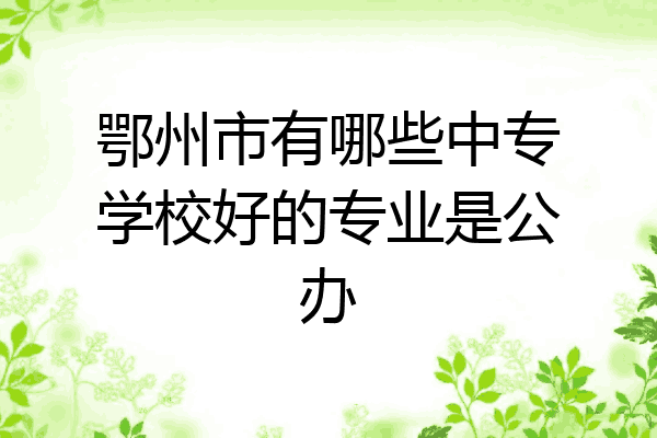 鄂州市有哪些中专学校好的专业是公办