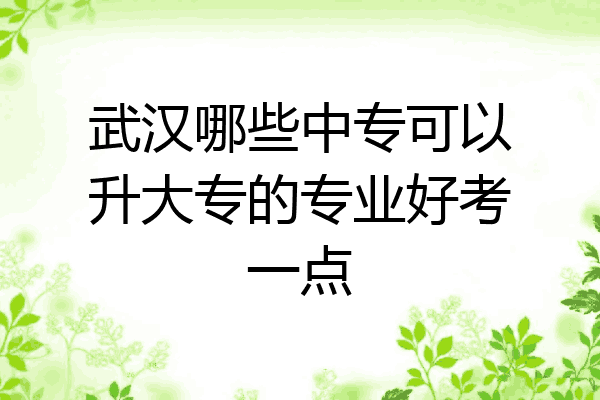 武汉哪些中专可以升大专的专业好考一点
