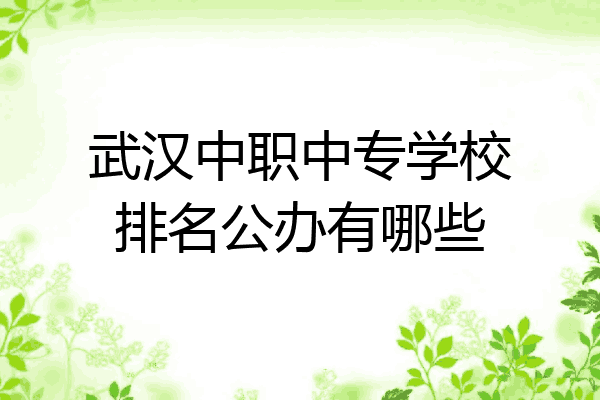 武汉中职中专学校排名公办有哪些