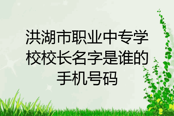 洪湖市职业中专学校校长名字是谁的手机号码
