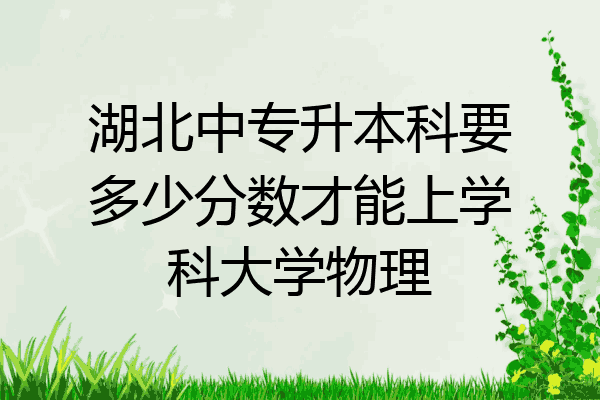 湖北中专升本科要多少分数才能上学科大学物理