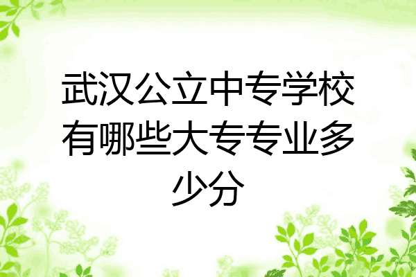 武汉公立中专学校有哪些大专专业多少分