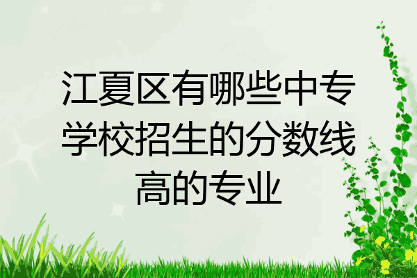 江夏区有哪些中专学校招生的分数线高的专业
