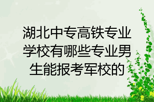 湖北中专高铁专业学校有哪些专业男生能报考军校的