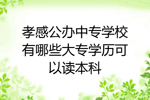 孝感公办中专学校有哪些大专学历可以读本科