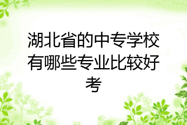湖北省的中专学校有哪些专业比较好考