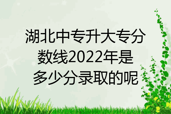 湖北中专升大专分数线2022年是多少分录取的呢