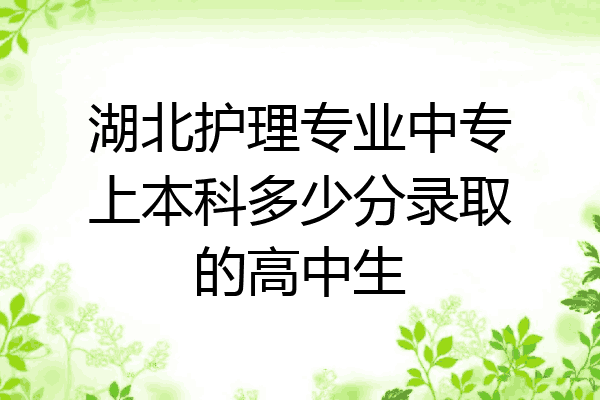 湖北护理专业中专上本科多少分录取的高中生