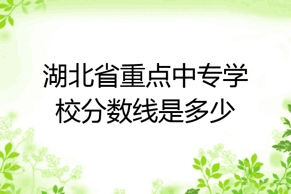 湖北省重点中专学校分数线是多少