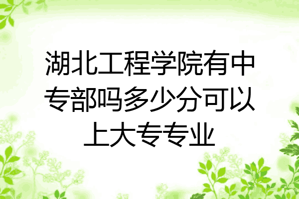 湖北工程学院有中专部吗多少分可以上大专专业