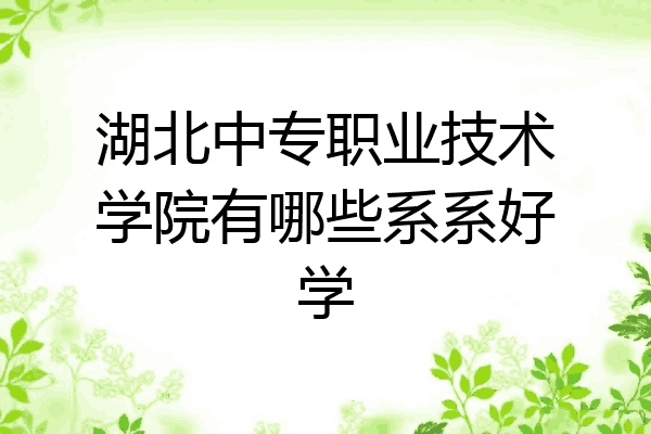 湖北中专职业技术学院有哪些系系好学