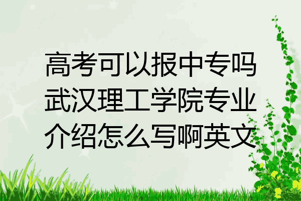 高考可以报中专吗武汉理工学院专业介绍怎么写啊英文