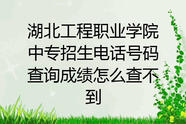 湖北工程职业学院中专招生电话号码查询成绩怎么查不到