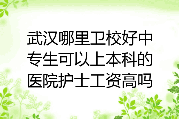武汉哪里卫校好中专生可以上本科的医院护士工资高吗