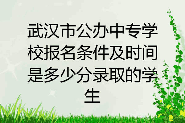 武汉市公办中专学校报名条件及时间是多少分录取的学生