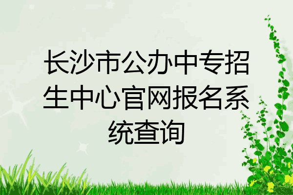 长沙市公办中专招生中心官网报名系统查询