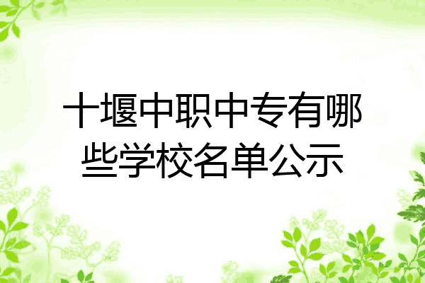十堰中职中专有哪些学校名单公示