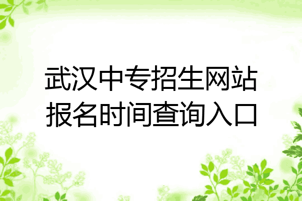 武汉中专招生网站报名时间查询入口