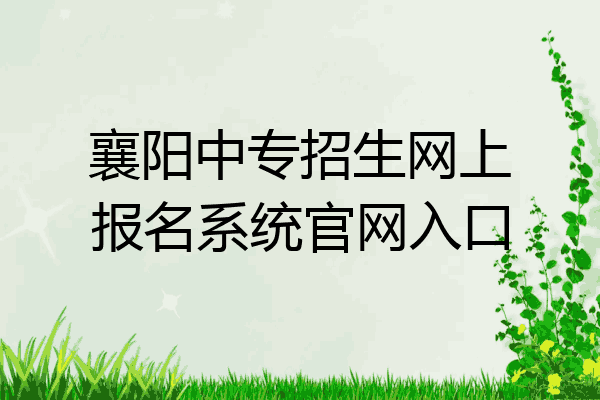 襄阳中专招生网上报名系统官网入口