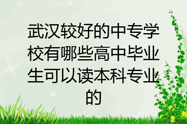 武汉较好的中专学校有哪些高中毕业生可以读本科专业的