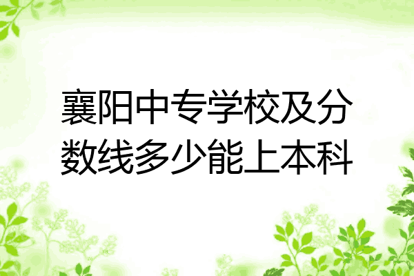襄阳中专学校及分数线多少能上本科
