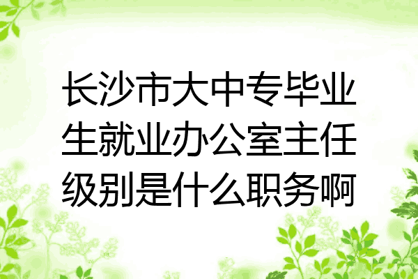 长沙市大中专毕业生就业办公室主任级别是什么职务啊