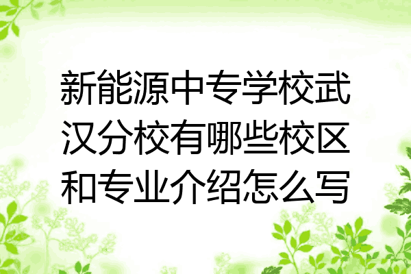 新能源中专学校武汉分校有哪些校区和专业介绍怎么写