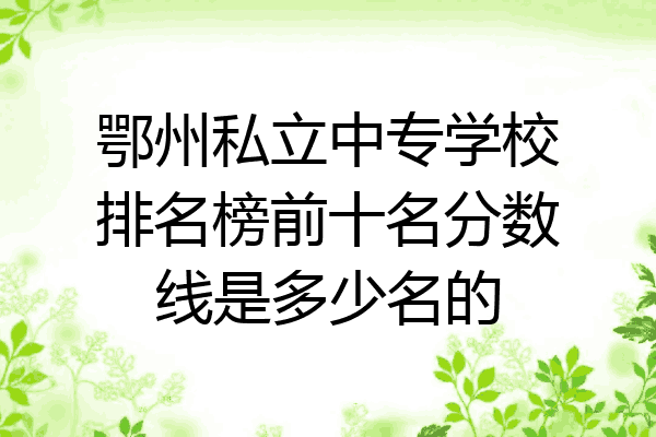 鄂州私立中专学校排名榜前十名分数线是多少名的