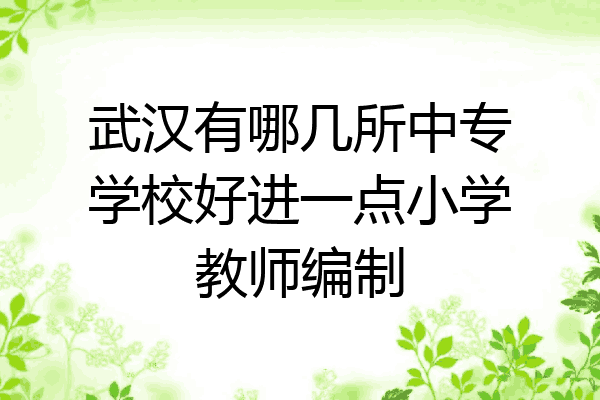 武汉有哪几所中专学校好进一点小学教师编制