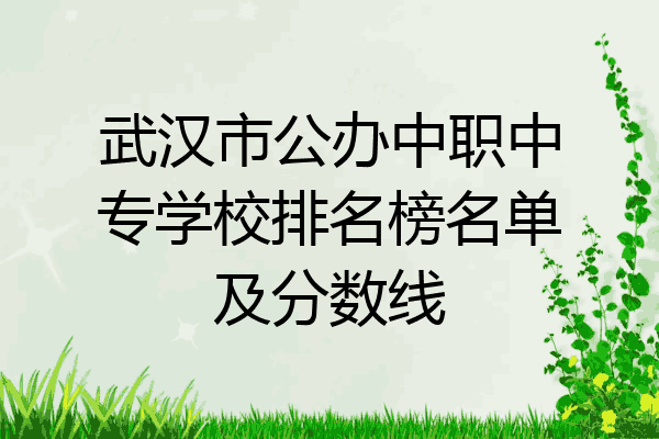 武汉市公办中职中专学校排名榜名单及分数线