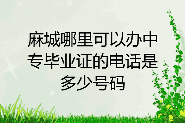 麻城哪里可以办中专毕业证的电话是多少号码