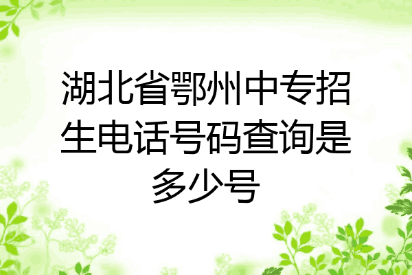 湖北省鄂州中专招生电话号码查询是多少号