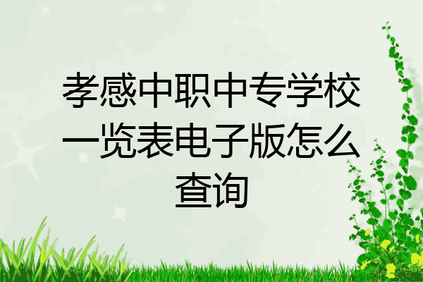 孝感中职中专学校一览表电子版怎么查询