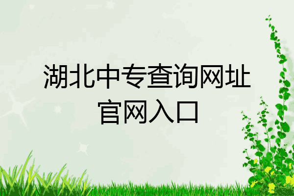 湖北中专查询网址官网入口