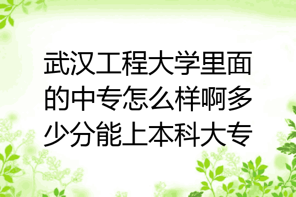 武汉工程大学里面的中专怎么样啊多少分能上本科大专