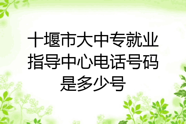 十堰市大中专就业指导中心电话号码是多少号
